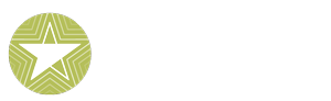Connect Highstar Logo